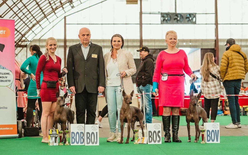 ChS_perroinkasagrado.cz_Cybelle Saint dog