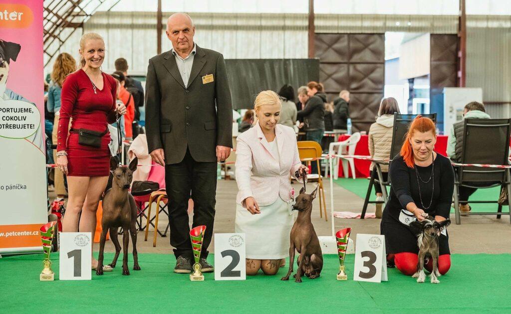 ChS_perroinkasagrado.cz_Cybelle Saint dog