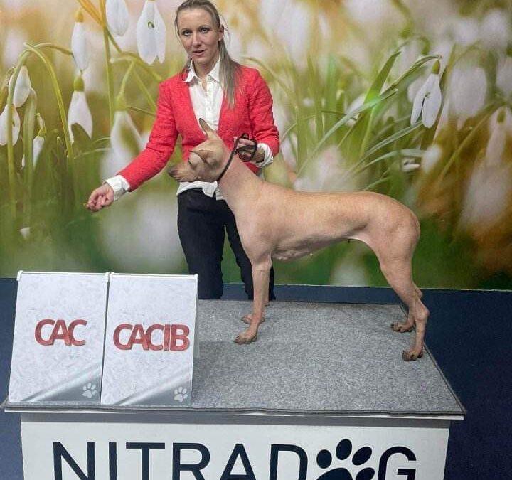 CACIB Nitra Carnival Cup 2023