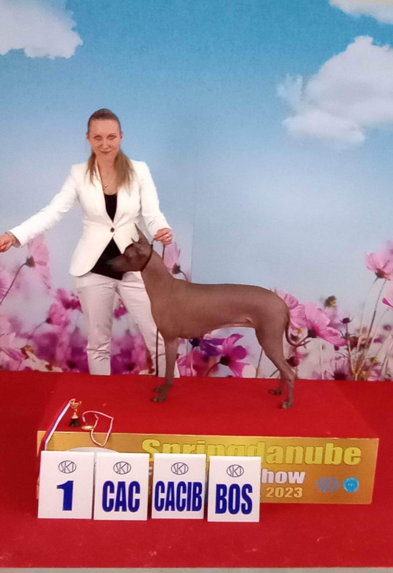 Cybelle Saint dog_ Bratislava _ 2023_V1, CAC, CACIB, BOS