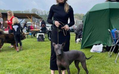 Club dog show Mladá Boleslav