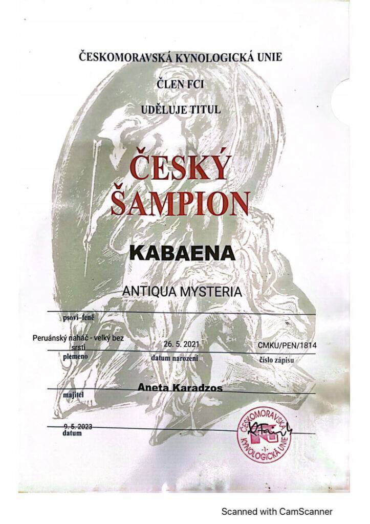 Kabaena CZ Champion 1