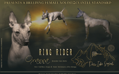 RING RIDER OXANNA – bonitace