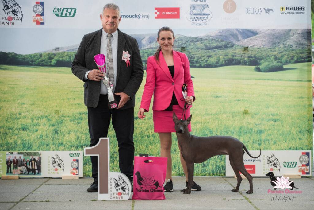 perroinkasagrado_Krajská výstava + Klubová výstava KCHN Florinka Olomouc 6.5.2023-1