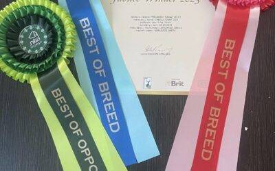DOG EXPO NITRA 2023 /9-11.6.