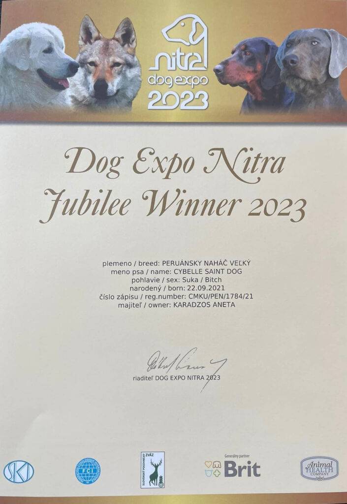 DOG EXPO NITRA 2023_9_11_6_Perro Inka Sagrado_03 1