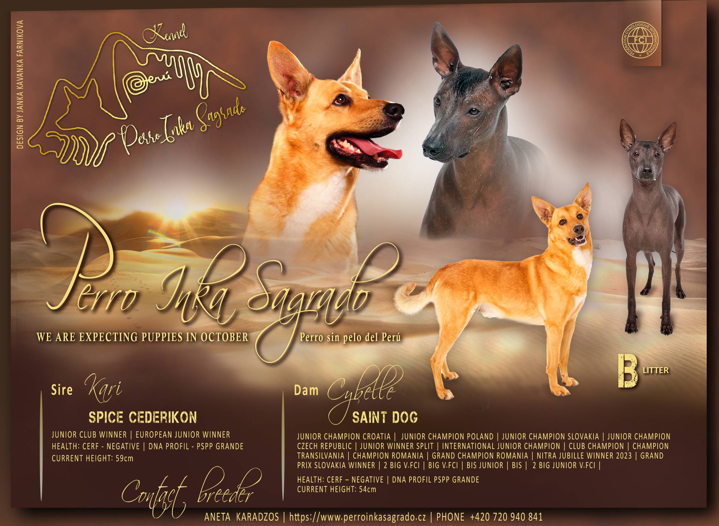 ChS_perroinkasagrado_Cybelle Saint dog
