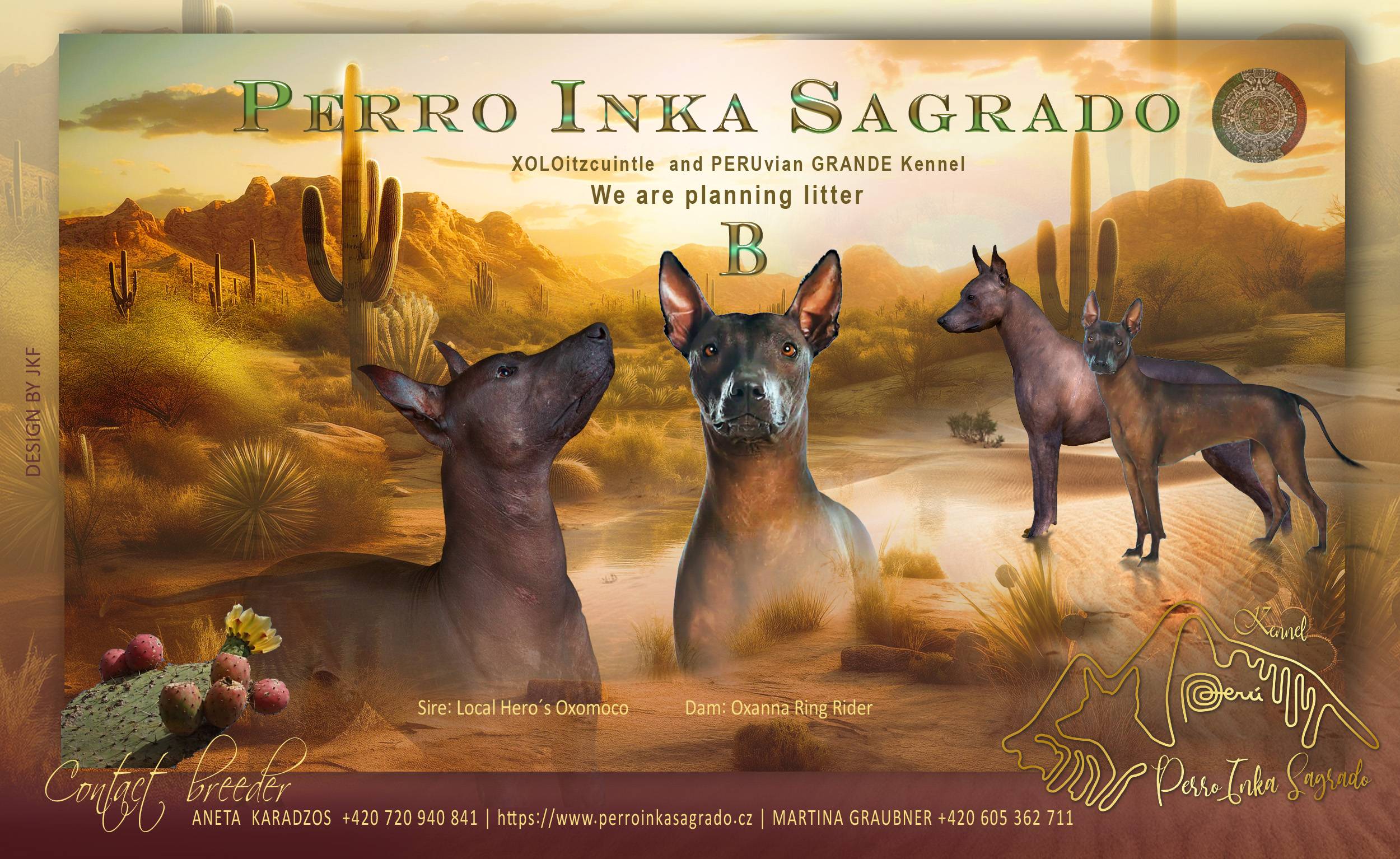 Perro Inka Sagrado_ Antiquia Mysteria Kabaena